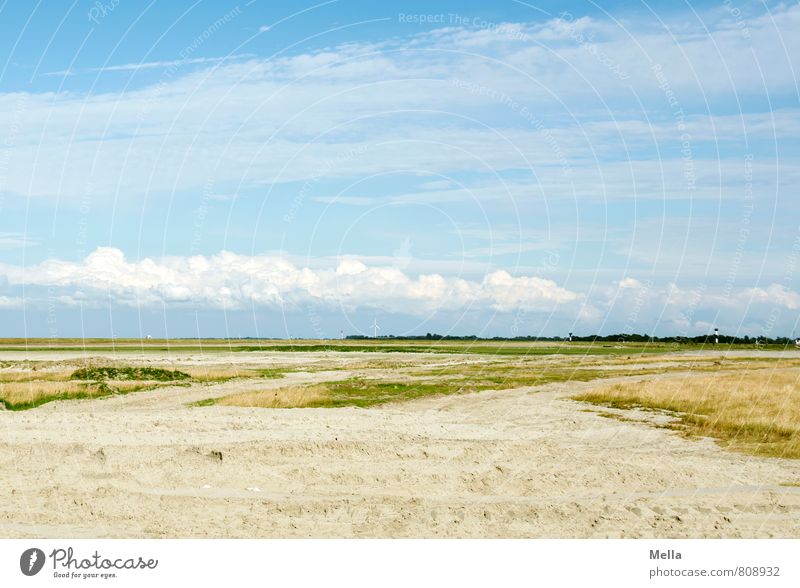 Wide land and wide sea Environment Nature Landscape Sand Sky Clouds Grass Meadow Coast North Sea Far-off places Natural Blue Relaxation Horizon Calm Extensive