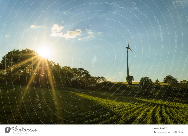 field Nature Landscape Sun Sunlight Summer Beautiful weather Warmth Field Hill Blue Green Authentic Environment Vogelsberg Wind energy plant Colour photo