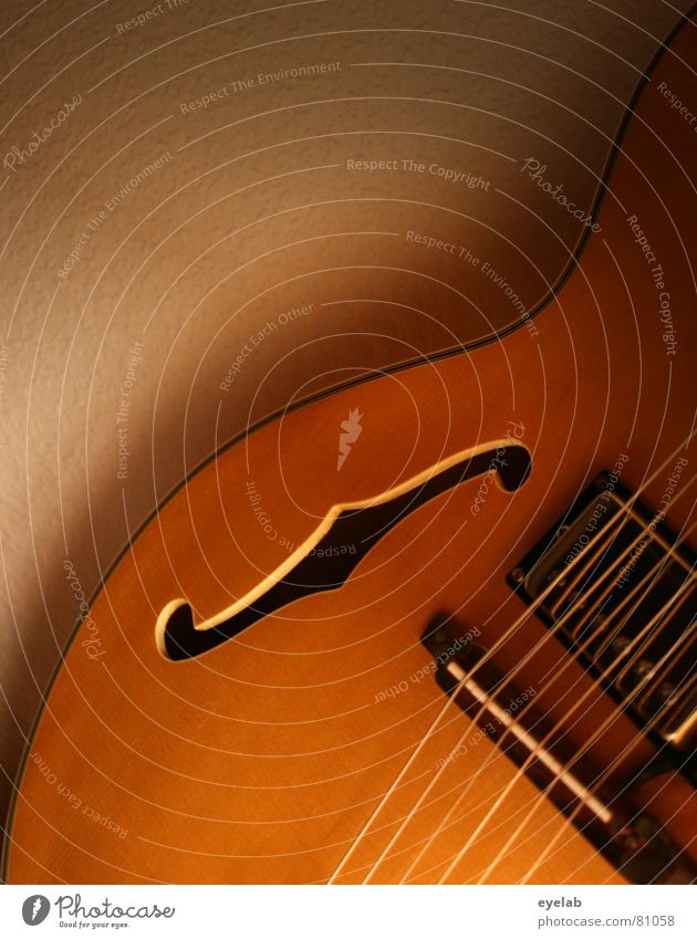 F curve Hit song Wood Jazz Footbridge Song Guitar Entertainment Musical instrument string Countries Wood flour Concert Work and employment strings f hole