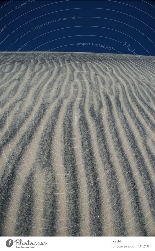 Dune hiker 2 Black Hot Dry Pattern Australia Fraser Island Desert black sand sand pattern Sand Beach dune Thin