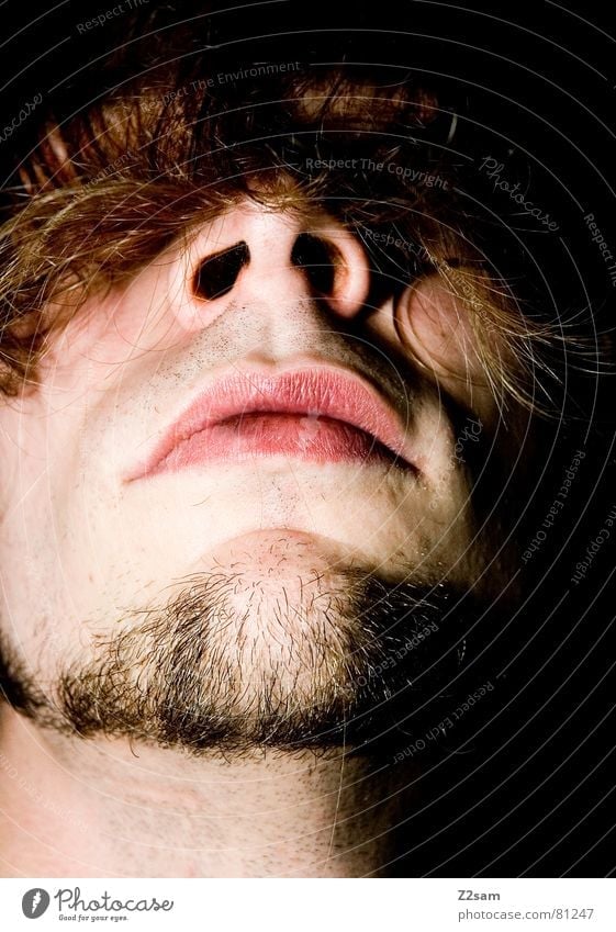 Now it's getting hairy! Facial hair Hair and hairstyles Concealed Man Close-up Face Head Nose Mouth Right ahead Hide portraite