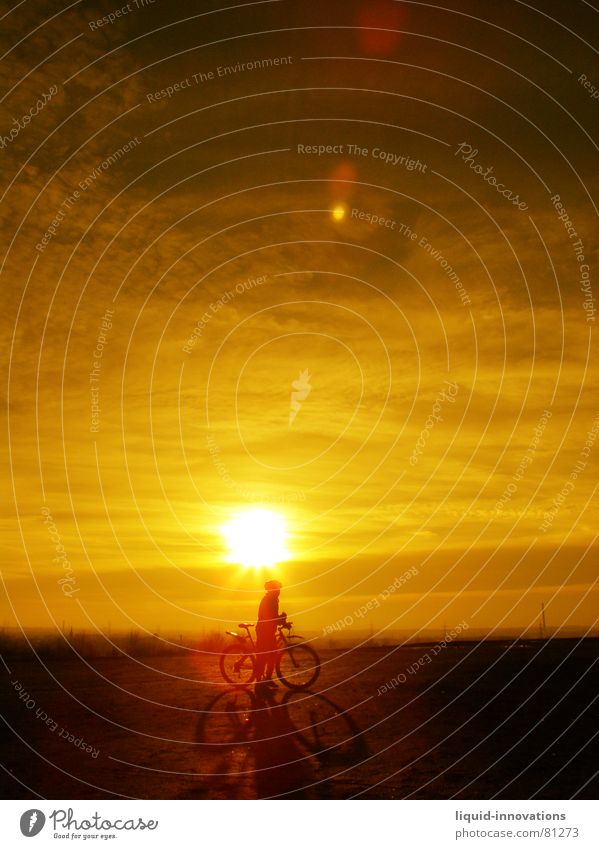 Sunny Biker Cycling Sunset Bicycle Clouds Horizon Sky Celestial bodies and the universe Dusk