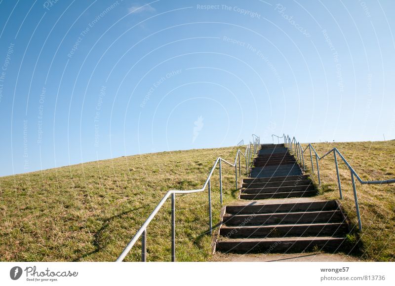 celestial staircase Summer Hill Garbage dump Tall Blue Brown recultivation Renewal Stairs Handrail Horizon Sky Skyward Blue sky grass mound Go up Colour photo