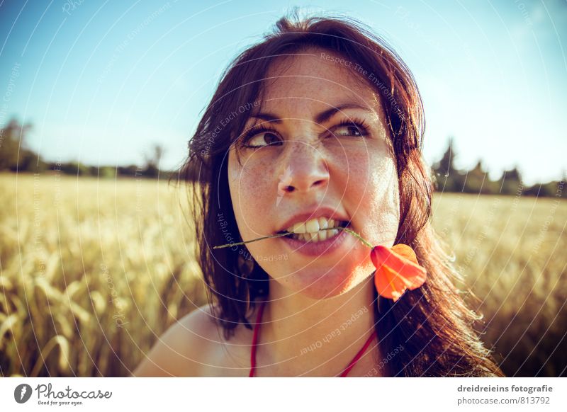 in the cornfield Human being Feminine Young woman Youth (Young adults) Woman Adults 1 Sky Cloudless sky Horizon Summer Beautiful weather Field Brunette