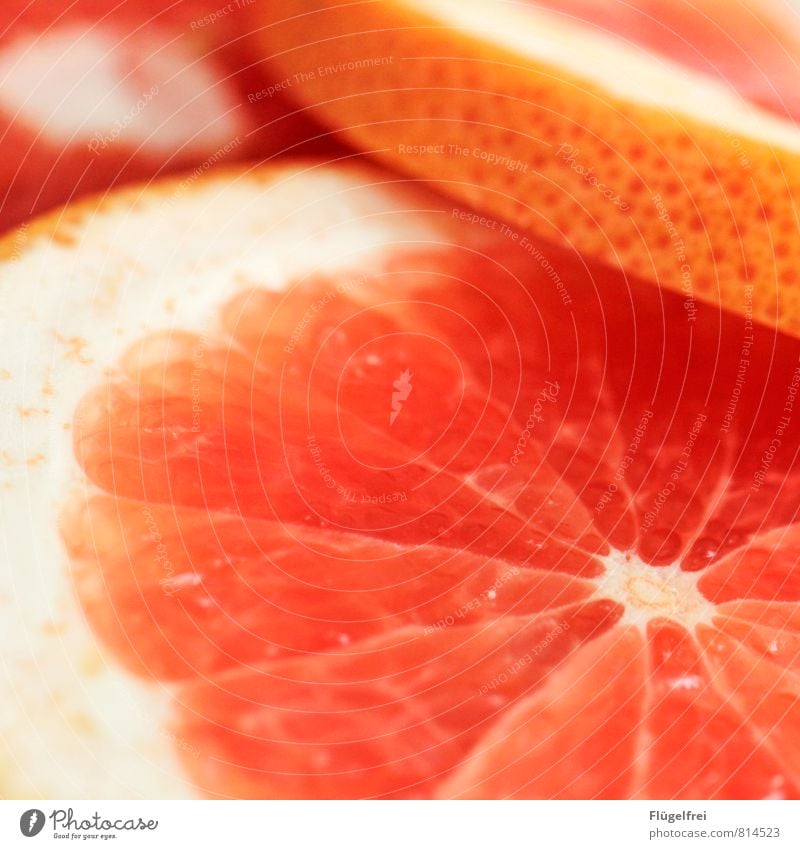 grapefruit Fruit Sour Grapefruit Summer Juicy Orange Fruit flesh Healthy Nutrition Sheath Delicious Colour photo Shallow depth of field