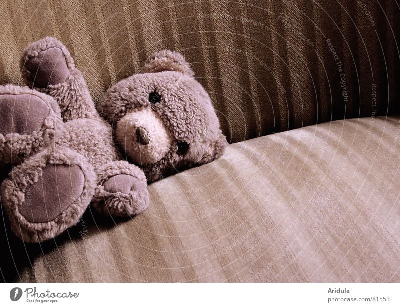 The teddy Toys Armchair Pelt Cloth Beige Teddy bear Loneliness Poetic Bear Lie Old Sadness Forget Seeking help Needy Individual Cuddly Soft Bolster