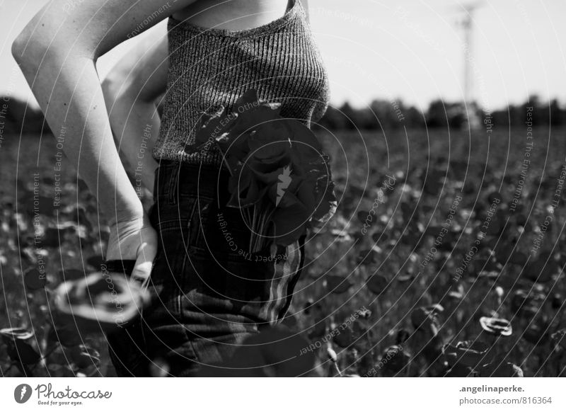 summerlove II Black & white photo Summer Warmth Sun Woman Poppy Poppy field Movement Walking Bouquet Section of image