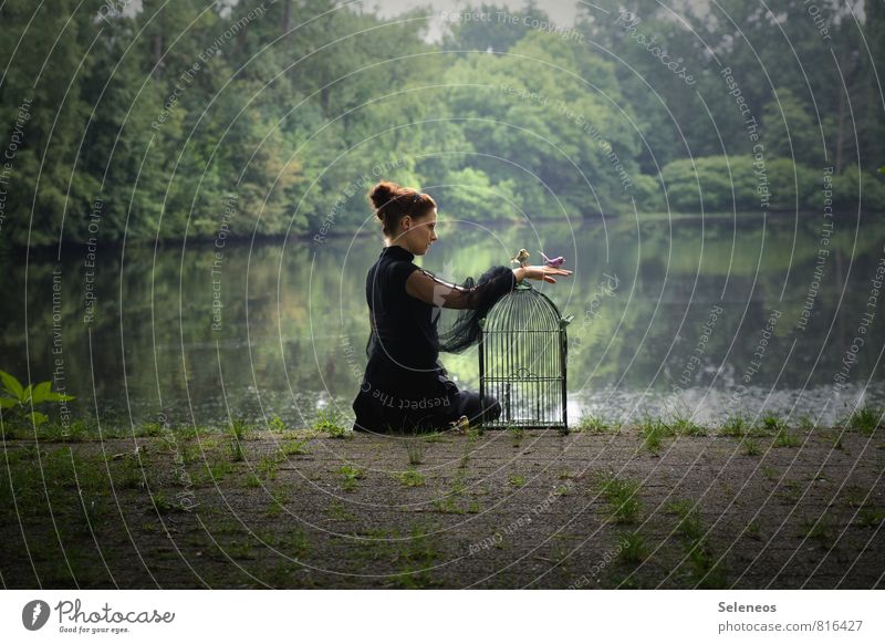 let them go Human being Feminine Woman Adults 1 Environment Nature Garden Park Lakeside River bank Bird Bird's cage Free Freedom Colour photo Exterior shot
