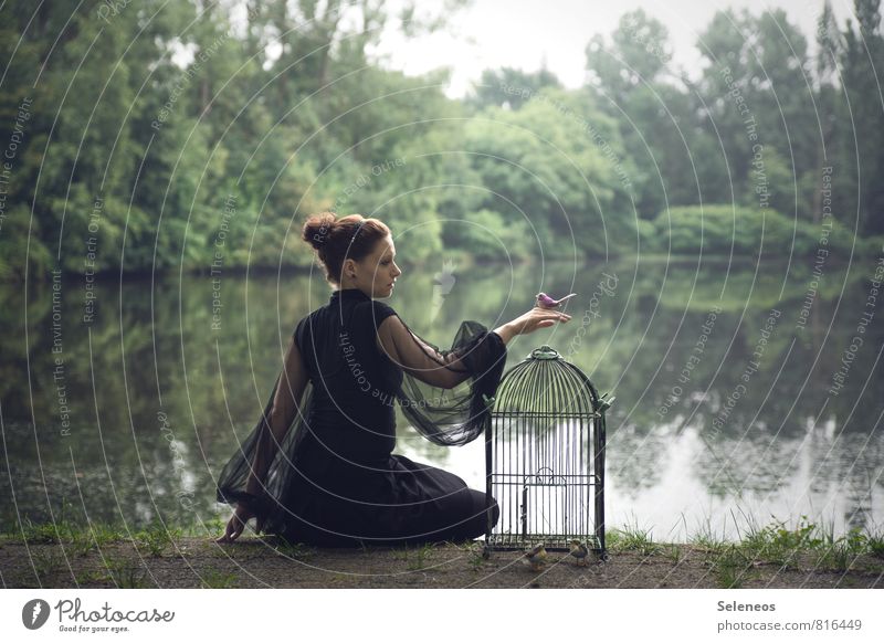 let go Freedom Human being Feminine Woman Adults 1 Spring Lakeside River bank Pond Bird's cage Goodbye Colour photo Full-length
