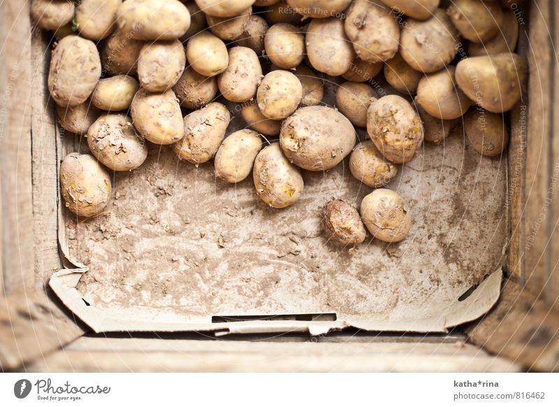 potato . Potatoes Box Wood Fresh Healthy Natural Brown Gold Earthy regionally Nutrition Colour photo Subdued colour Interior shot Detail Copy Space bottom