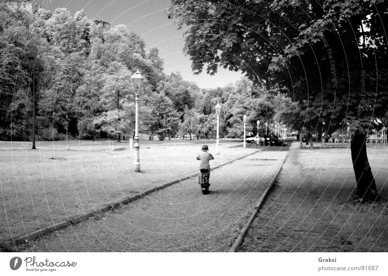 Day as dream Passenger train Park Summer Countries Peace infrared path suburban way infrared light dreaming pleasure ground outdoor sports Black & white photo