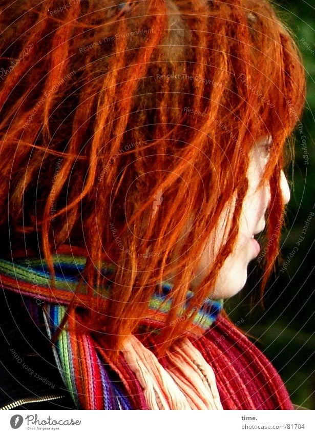 bird of paradise Multicoloured Silhouette Profile Beautiful Hair and hairstyles Young woman Youth (Young adults) Head Scarf Red-haired Curl Dreadlocks Blue