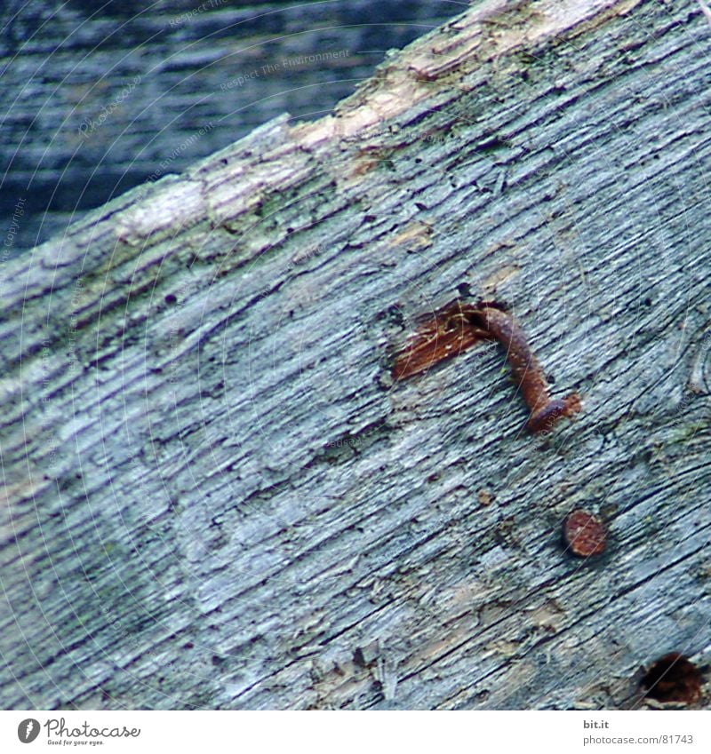 ?????????? Wooden board Close-up Nail Rust Detail Section of image Partially visible Ravages of time Derelict Log Texture of wood Putrefy Brittle Weathered
