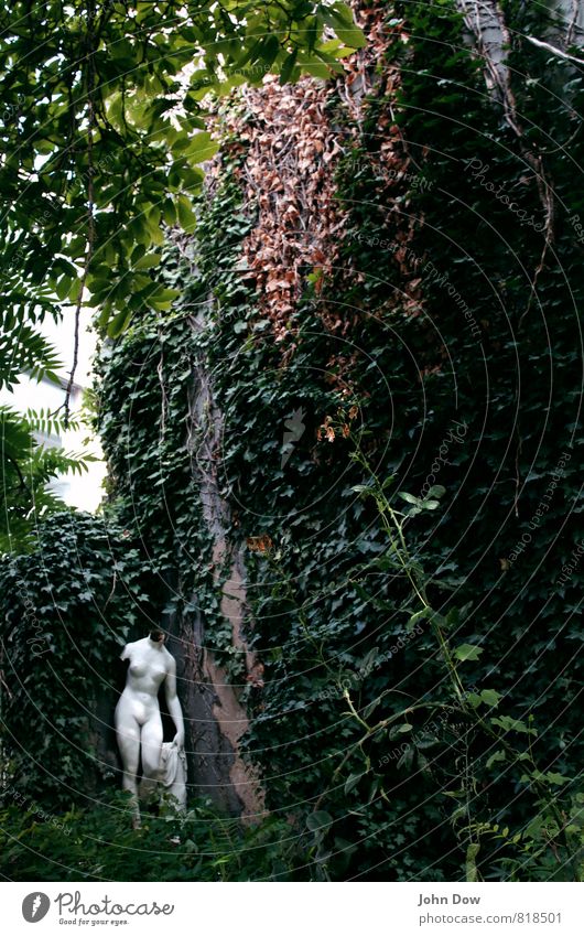Venus without fur Subculture Plant Tree Grass Bushes Ivy Fern Garden Esthetic Statue Sculpture Nude photography Headless subversive Overgrown Jinxed Loneliness