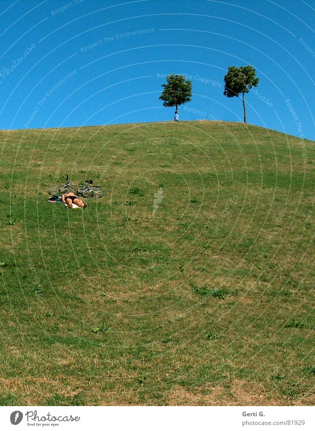 over the hill July Accumulation Hill Summer Heap Tree 2 Slope Meadow Places Relaxation Karlsruhe Joy Concert for umme günther klotz plant backfill the feschd