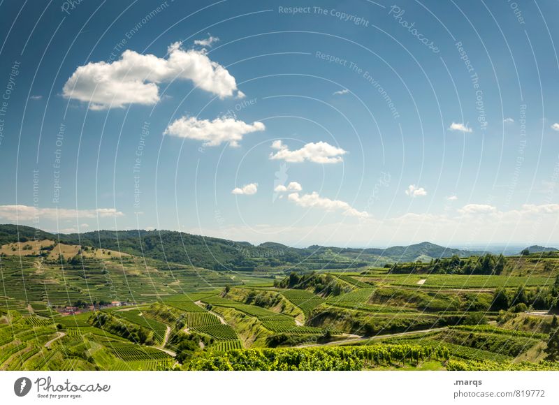 terraces Vacation & Travel Tourism Trip Summer Hiking Nature Landscape Sky Clouds Horizon Beautiful weather Field Vineyard Wine growing Terraced fields