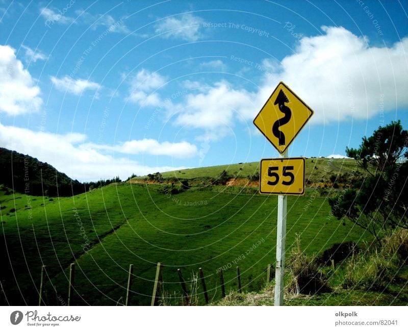 road trip Curve Green Speed Clouds Grass Hill Yellow Fence Sheep New Zealand Meadow Speed limit Country road Street Landscape Sky Blue Sun Signs and labeling