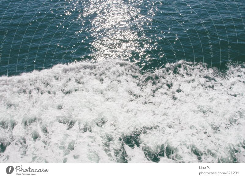 sprayed Sun Sunlight Waves North Sea Baltic Sea Ocean White crest Water Swimming & Bathing Looking Glittering Infinity Maritime Wet Blue Calm Wanderlust Colour