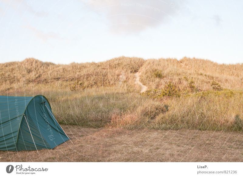 dune camping Relaxation Calm Vacation & Travel Camping Summer Summer vacation Beach Ocean Dune Marram grass Nature Hill Coast Baltic Sea Sand Tent Moody