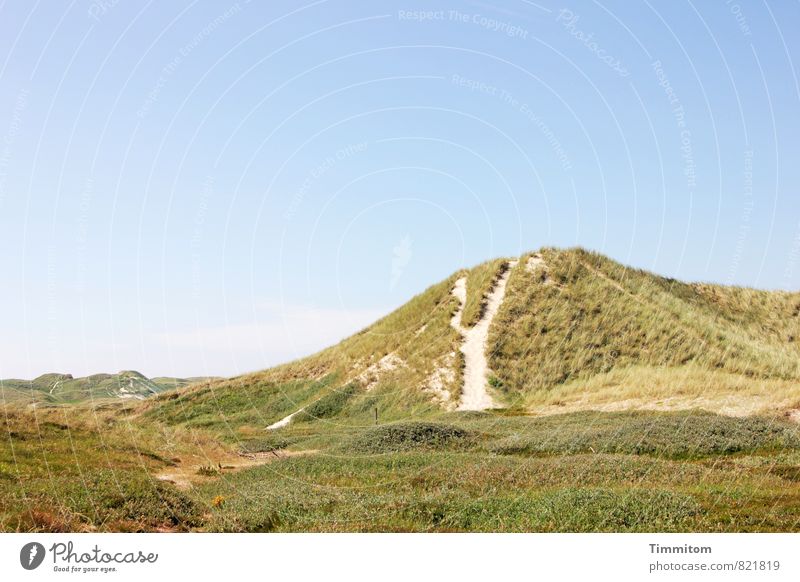 far. Vacation & Travel Environment Nature Landscape Plant Sky Summer Beautiful weather Dune Denmark Lanes & trails Sand Esthetic Natural Blue Green Emotions