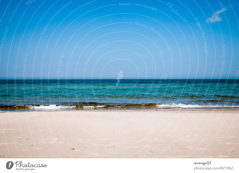 sea of longing Far-off places Summer Beach Ocean Beach vacation Nature Sand Water Sky Clouds Horizon Beautiful weather Waves Coast Baltic Sea Blue Sky blue