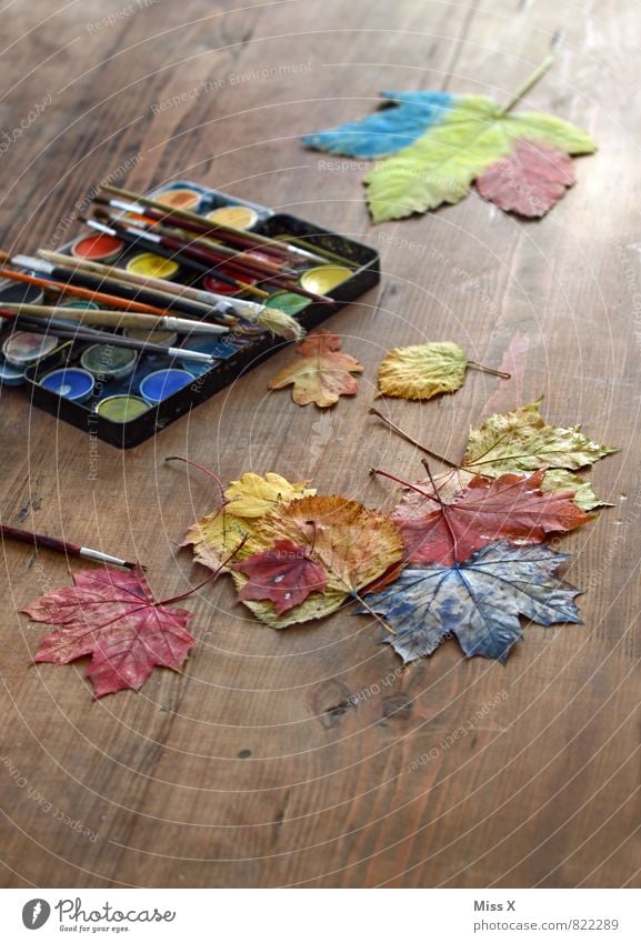 depict sb./sth. Leisure and hobbies Playing Handicraft Children's game Autumn Leaf Wood Multicoloured Creativity Autumn leaves Painting (action, artwork)