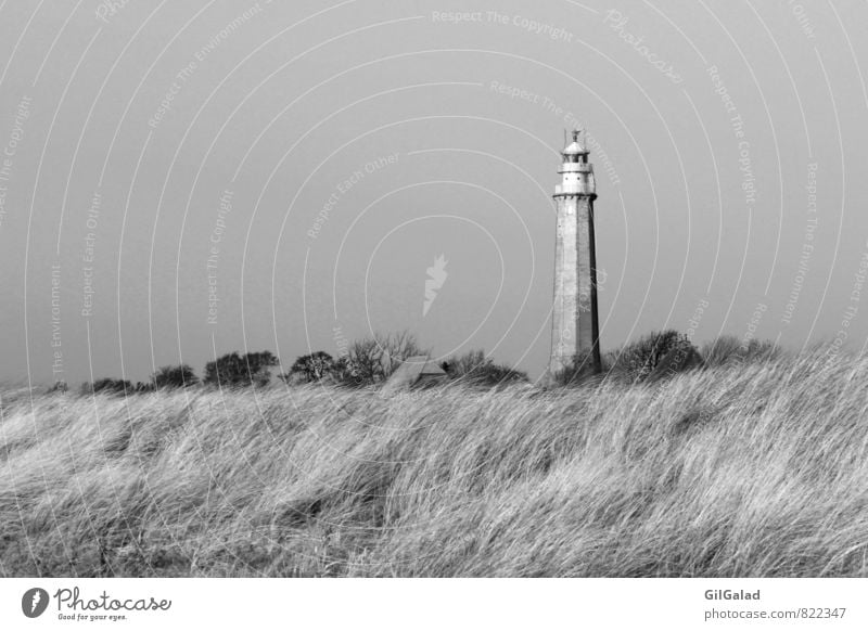 Lighthouse in nowhere Environment Nature Landscape Autumn Winter Bushes Coast Beach Baltic Sea Island Fehmarn fledged Deserted Logistics Navigation Stone Going
