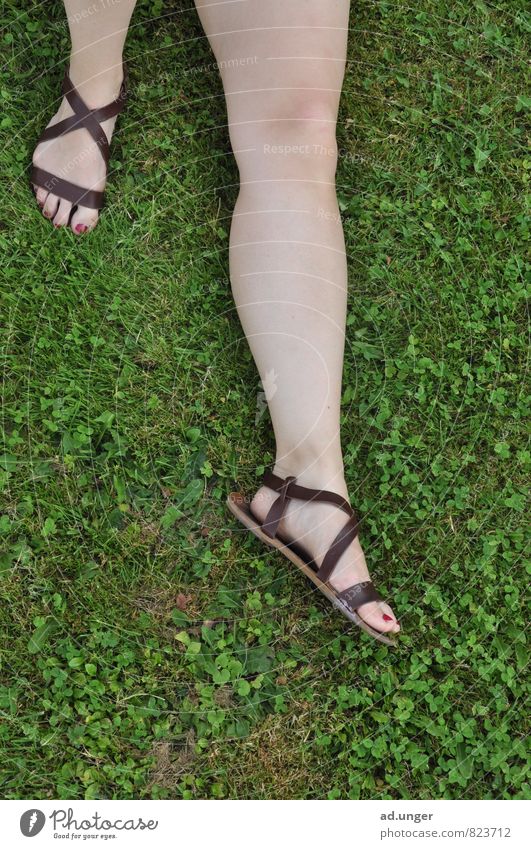 The Roman Lifestyle Elegant Human being Feminine Legs Feet 1 18 - 30 years Youth (Young adults) Adults Lie Sleep Calm Relaxation green meadow Sandal Summer