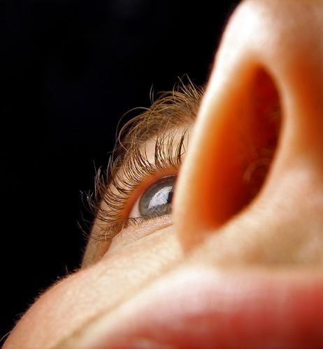 nasal eye Nostril Cheek Near Macro (Extreme close-up) Close-up winper Eyes Nose Lips Face Eyelash