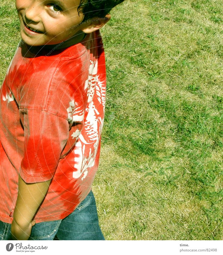 Nonsense in mind Portrait photograph Looking Joy Life Summer Football pitch Child Boy (child) Ear Grass Meadow T-shirt Shirt To enjoy Laughter Green