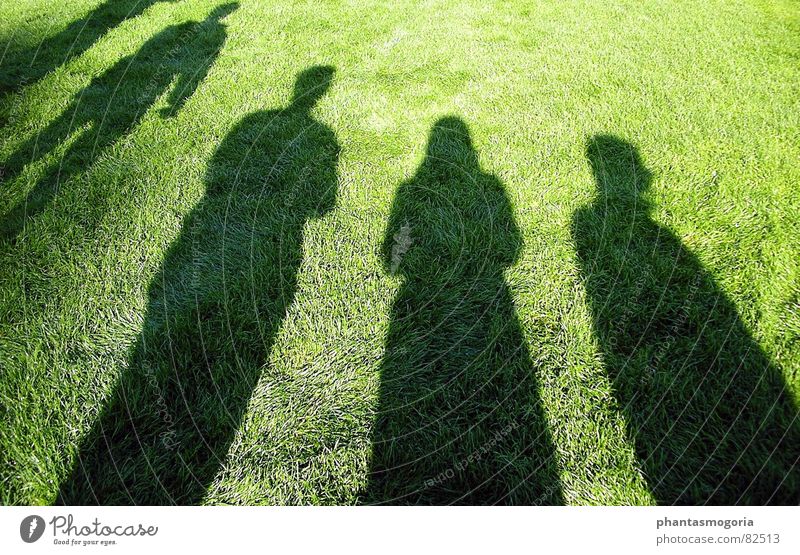 my shadows Summer Football pitch Assembly Playing Shadow Lawn Sun Date