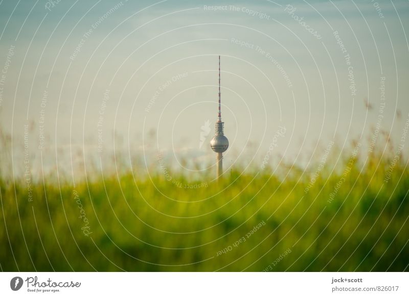 natural selection Harmonious Grass Meadow Capital city Berlin TV Tower Growth naturally Illusion Evolution Fantasy Structures and shapes Neutral Background
