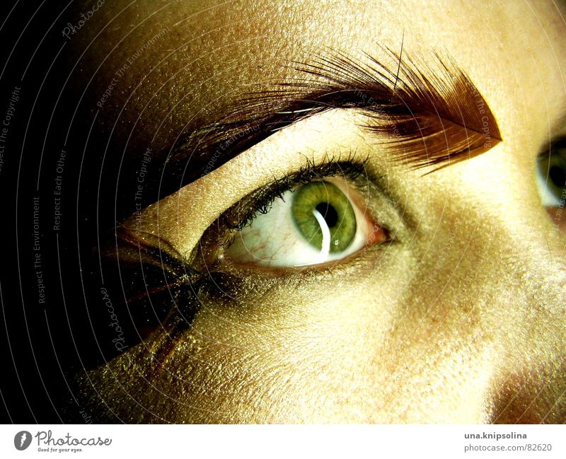 springs II Pupil Light Fix Iris Eyes Marvel Perspective Face Vantage point Insight Fleeting glance Flirt Saucer-eyed Soft Woman Feather Looking Reflection