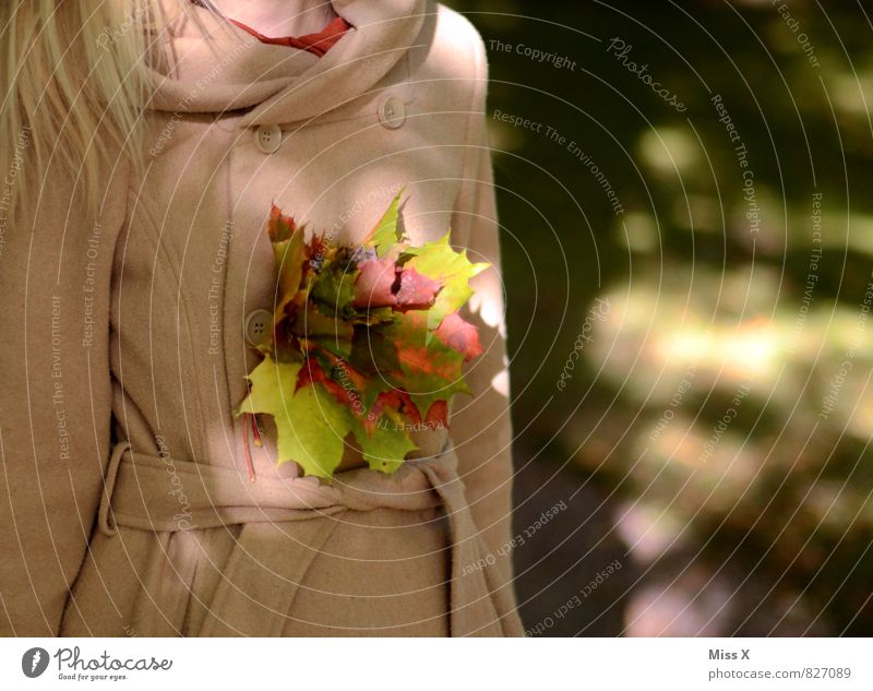 leaf roses Human being Feminine Woman Adults 18 - 30 years Youth (Young adults) Autumn Leaf Coat Accessory Jewellery Blonde Multicoloured Romance