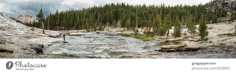 Fly fishing in the Yosemite wilderness. Adventure Hiking Man Adults 1 Human being 30 - 45 years River Discover challenge daring exploration fisherman gutsy