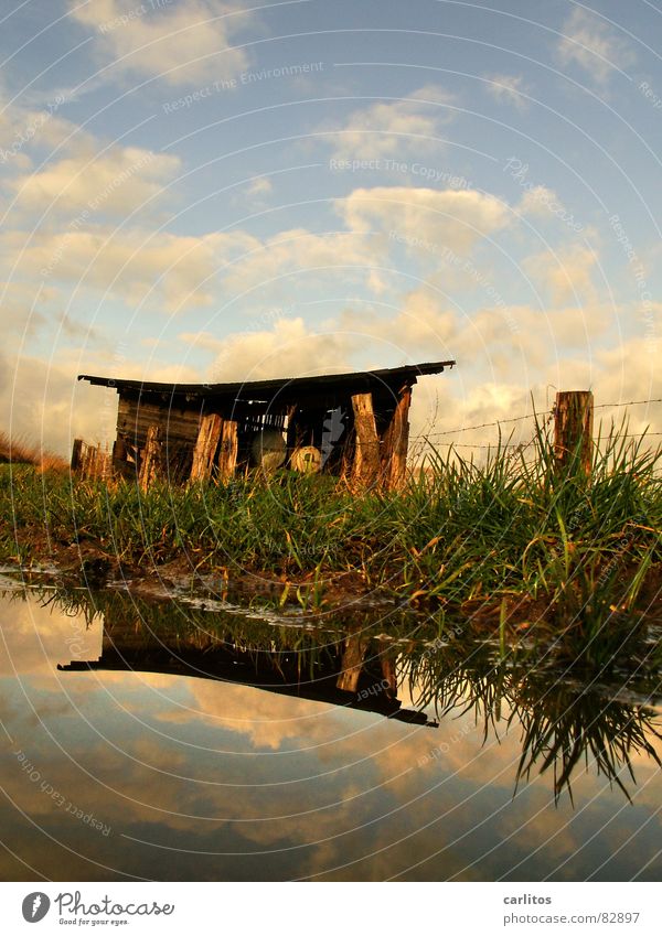 tea cottage Shed Pavilion Barbed wire Horizon Fence Barn Meadow Footpath Puddle Reflection Clouds Dramatic Wind Passion Middle Symmetry White balance 2