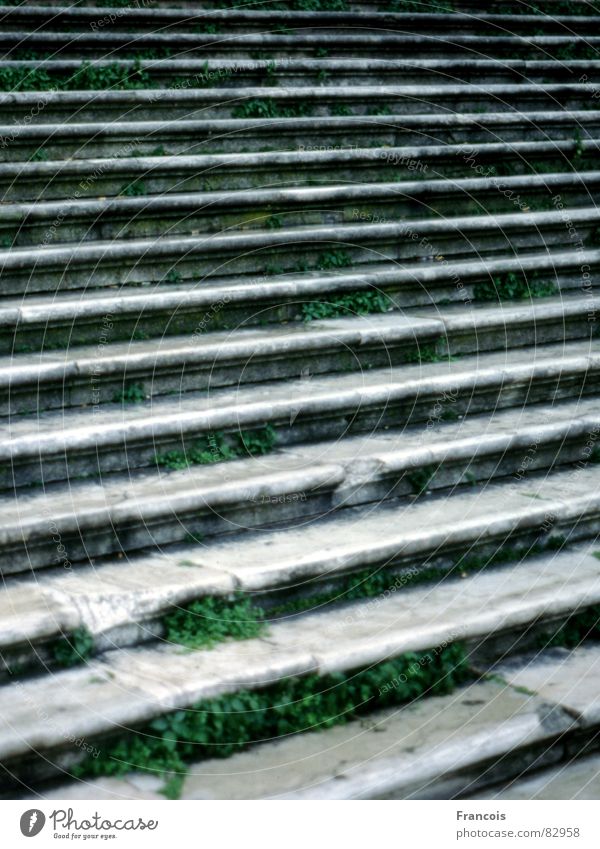 Stairs in Venice Derelict Detail become overgrown Stone