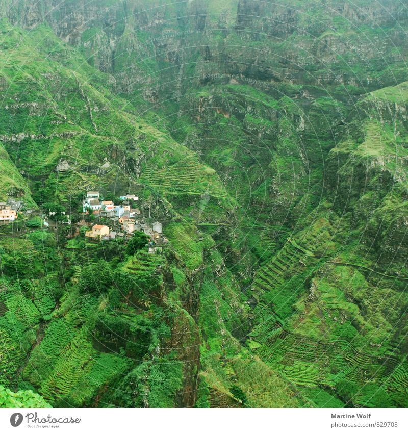 green in green in green in green in green Landscape Santo Antão Cabo Verde Africa Village Green Loneliness Nature Town Colour photo Exterior shot Deserted Day