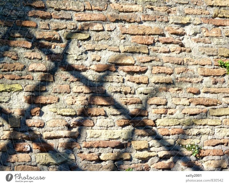 behind Roman bars Old town Manmade structures Wall (barrier) Wall (building) Stone Dark Sharp-edged Historic Claustrophobia Force Fence Safety Brick wall