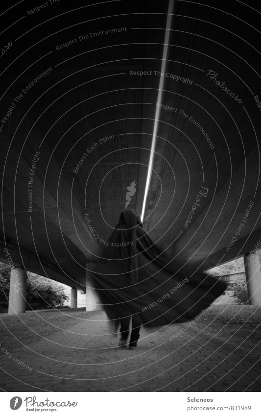 departure Human being 1 Bridge Tunnel Overpass Cape Going Cold Black & white photo Exterior shot Light Shadow Contrast Motion blur Full-length Rear view