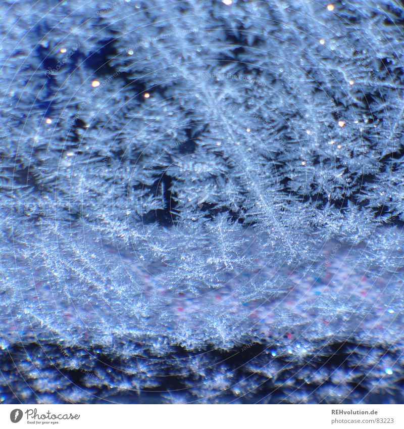 ice scraping ... Blue Lithium chloride Frostwork Frozen Cold Freeze Pattern Snowflake Windscreen Carriage Winter Macro (Extreme close-up) Close-up corsa