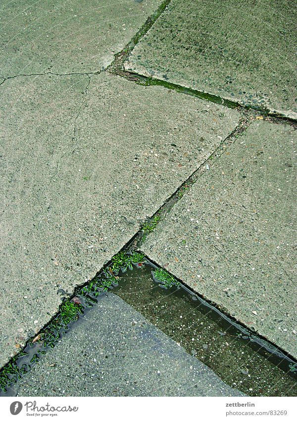 interstices Drizzle Seam Brook Concrete Places Parking lot Wet Kreuzberg Damp Gravel Personnel cutback Claustrophobia Detail Stone Minerals industrial yard Rain