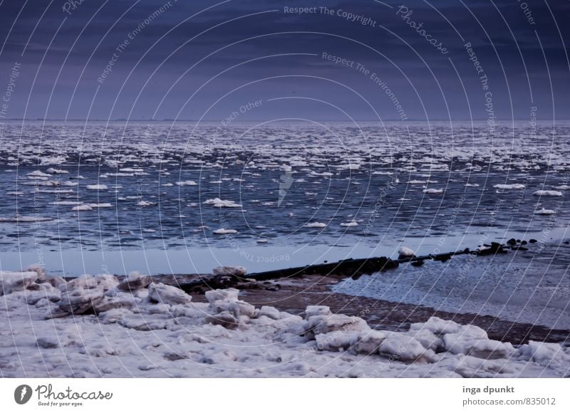 ice floes Environment Nature Landscape Elements Water Winter Climate Climate change Bad weather Ice Frost Snow Coast Ocean Island North Sea Fohr