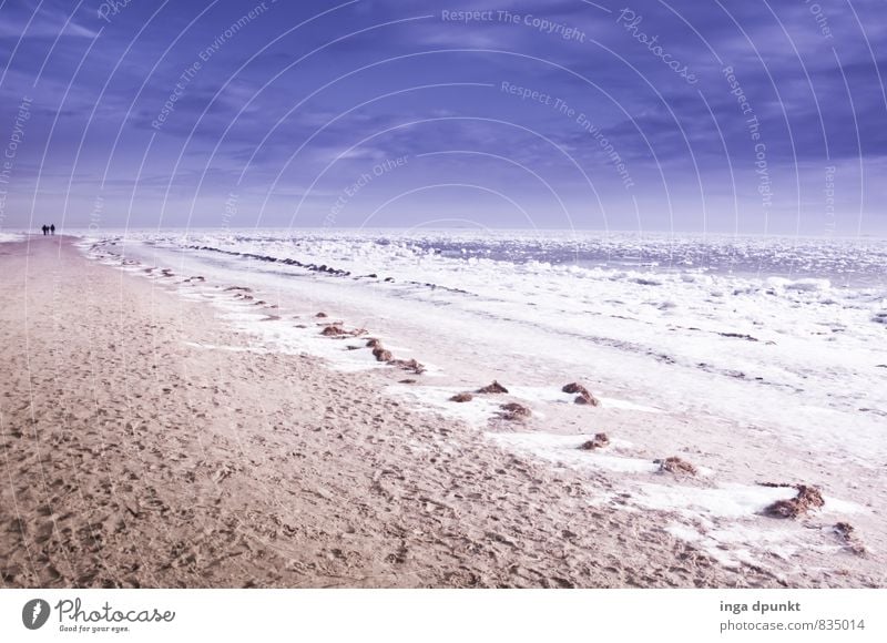 snowy beach Environment Nature Landscape Elements Earth Sand Winter Climate Climate change Ice Frost Snow Waves Coast Beach Ocean Island Fohr North Sea