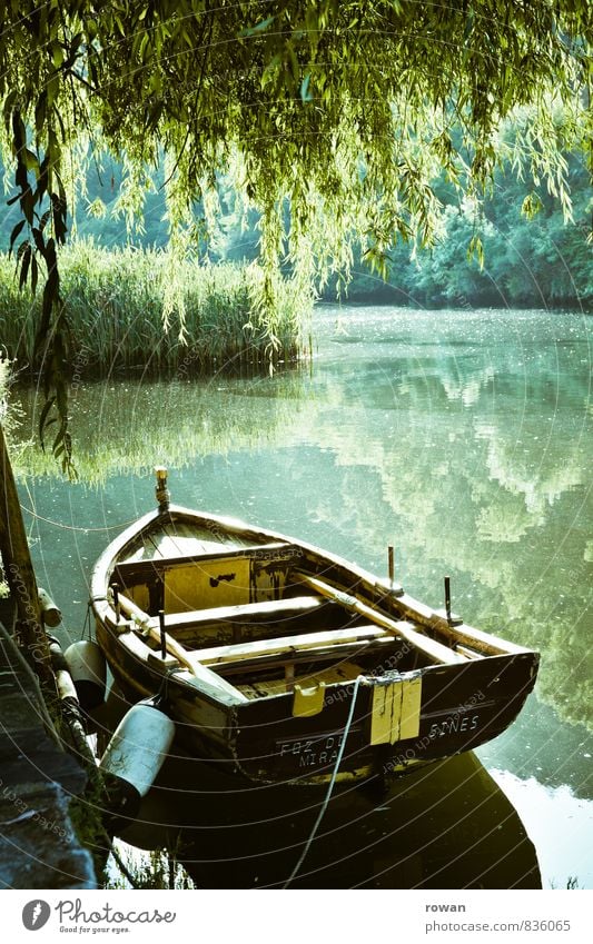 rowing boat Environment Nature Landscape Beautiful weather Lake River Rowboat Watercraft Warmth Calm Relaxation Idyll Green Weeping willow Boating trip Jetty