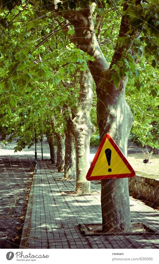 ! Environment Nature Landscape Tree Leaf Motoring Cycling Pedestrian Road sign Green Avenue Warn Warning label Street Signs and labeling Sidewalk Sunbeam Shadow