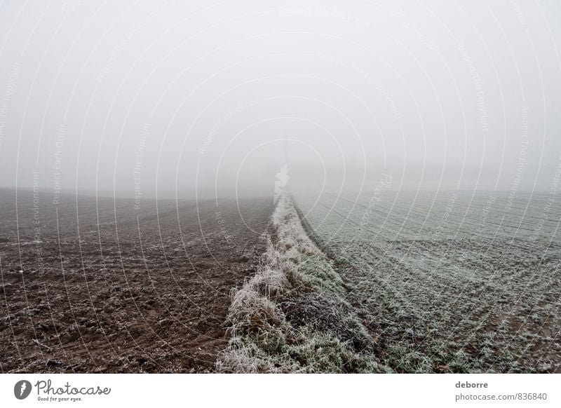 Looking at a frosty field on a misty winter morning. Field Misty atmosphere Winter Cold Frozen Frozen surface Sadness