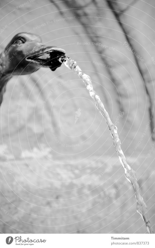 Water? Well Metal Esthetic Simple Natural Gray Black White Emotions Jet of water Water spout Head Firm Black & white photo Exterior shot Deserted