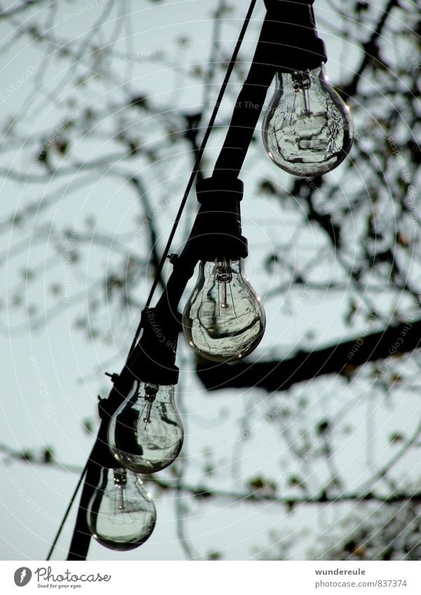 light sources Lamp Nature Air Tree Hang Cable Reflection Lighting Electricity Colour photo Black & white photo Exterior shot Deserted Day Shadow Contrast
