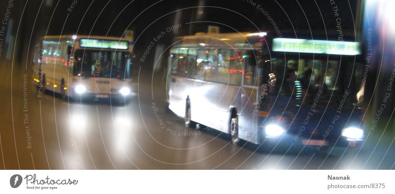 busrace2 Night Light Reflection Motion blur Transport Bus Evening